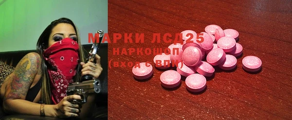 гидра Кулебаки