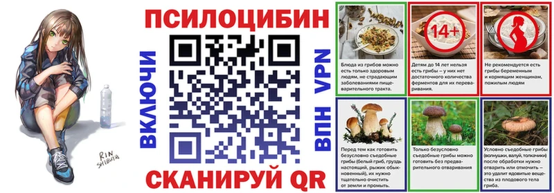 hydra рабочий сайт  Новоульяновск  Псилоцибиновые грибы Psilocybine cubensis  даркнет сайт 